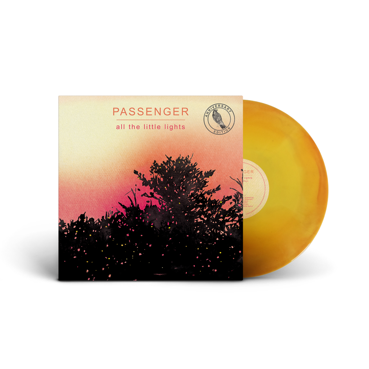 All The Little Lights Single Sunrise LP | PASSENGER OFFICIAL STORE ...